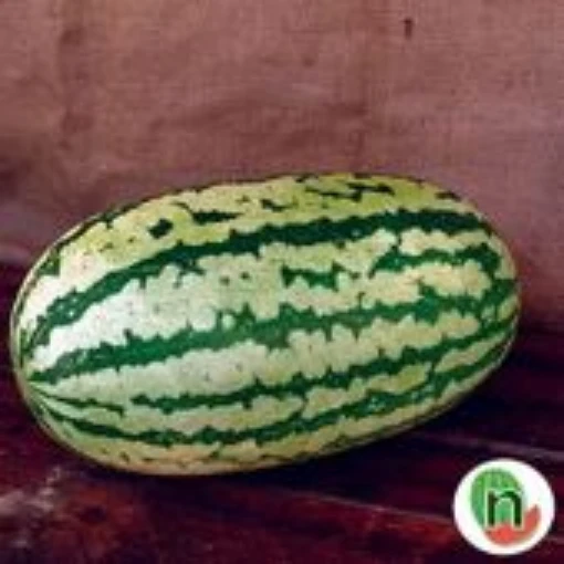 Summer Flavor 720 Watermelons WM83-10