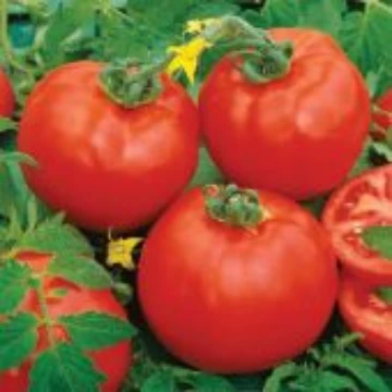 Containers Choice Red Tomato Seeds
