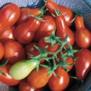 Austin's Red Pear Tomato Seeds