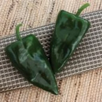 Trident Pepper Seeds
