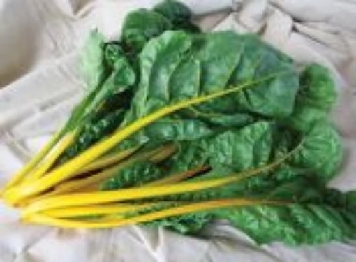 El Dorado Swiss Chard SW19-50