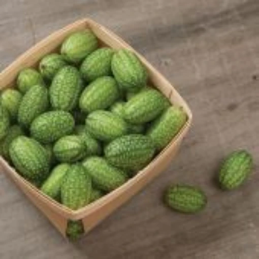Cucamelon Cucumbers CU130-20