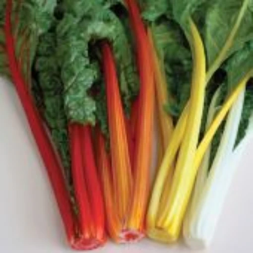 Celebration Swiss Chard SW22-100