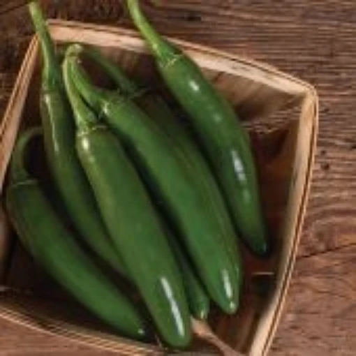 Altiplano Serrano Pepper Seeds