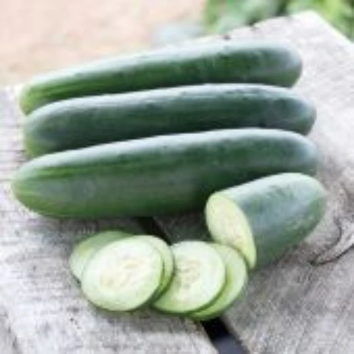 Goliath Cucumbers CU131-20