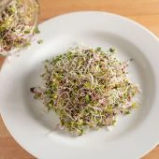 Sprouting Mix Seeds SS8-200