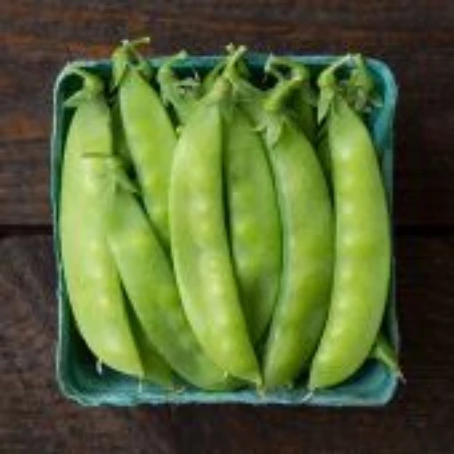 Blizzard Snow Peas PE36-50