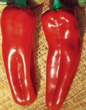 Marconi Rosso Pepper Seeds