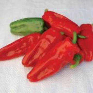 Aleppo Pepper Seeds
