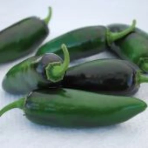 Craig's Grande Jalapeno Peppers HP2479-20