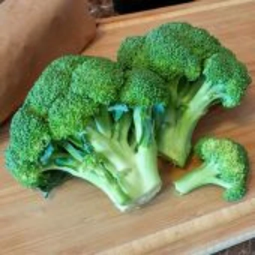Gypsy Broccoli BR34-100