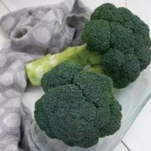 Godzilla Broccoli BR56-100