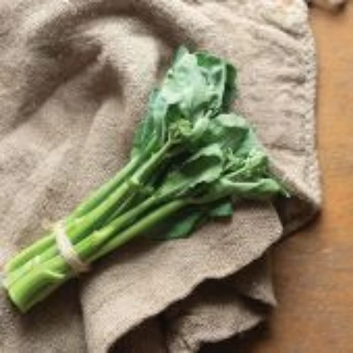 Melody Broccoli BR59-100
