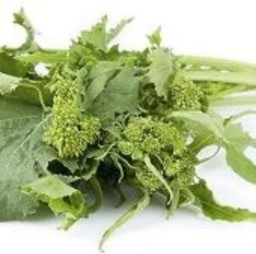 Early Pugliesi Broccoli Raab BR62-250