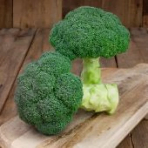 Emerald Jewel Broccoli BR66-100