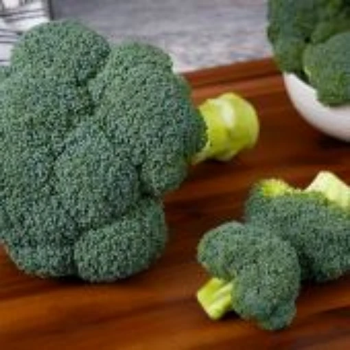 Fortress Broccoli BR72-100
