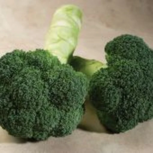 Green Gold Broccoli BR73-100
