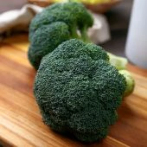 Kingdom Broccoli BR78-100