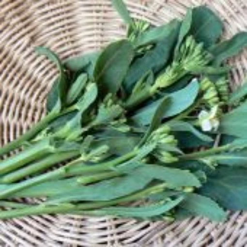 Kailaan Chinese Broccoli BR80-500