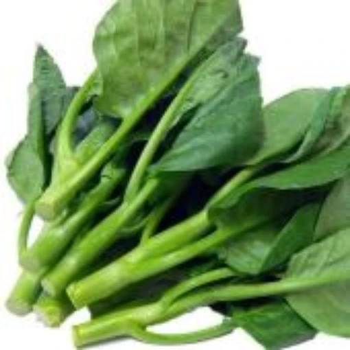Late Jade Chinese Broccoli BR83-500