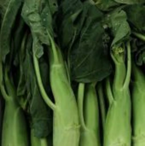 Big Stem Chinese Broccoli BR85-500