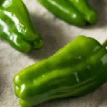 Cascaduro Pepper Seeds