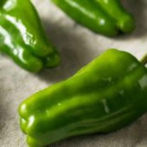 Cascaduro Pepper Seeds