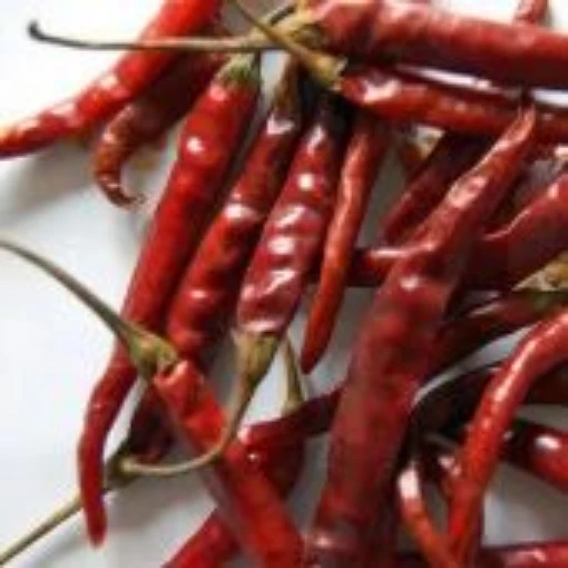 Birds Beak Pepper Seeds HP2494-10