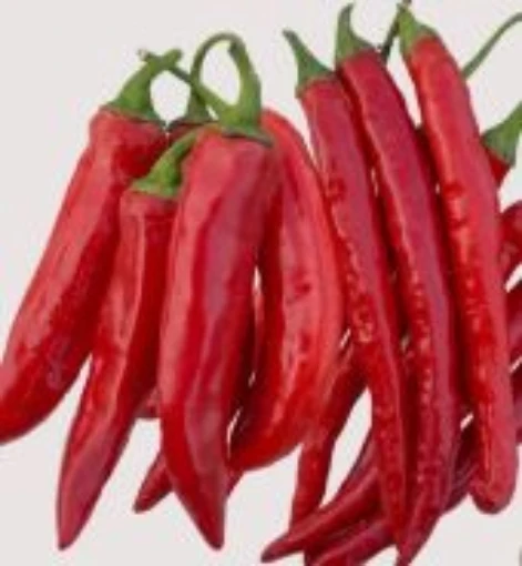 Calabrian Sigaretta Ristra Pepper Seeds HP2500-10