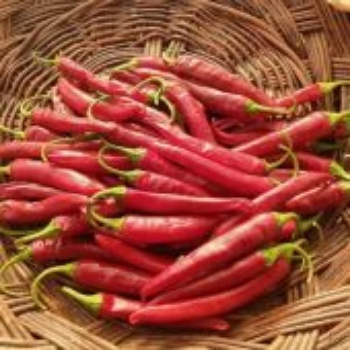 Lady Hermit Pepper Seeds