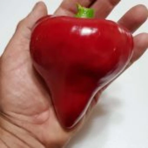 Lesya Red Pepper Seeds
