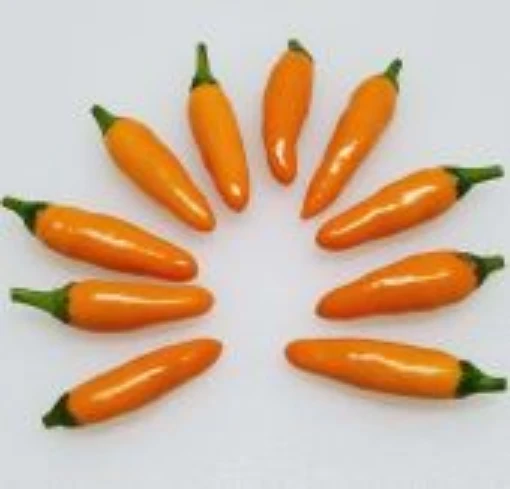 African Bird Orange Pepper Seeds