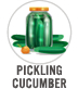 Pickling Cucumber