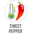 Sweet Pepper