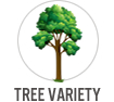Tree Variety