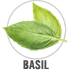 Basil