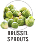 Brussel Sprouts
