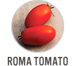 Roma Tomato