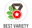Best Variety