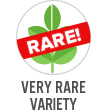 Very Rare Variety