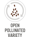 Open Pollinated Variety
