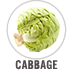 Cabbage