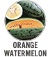 Orange Watermelon