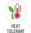 Heat Tolerant