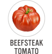 Beefsteak Tomato