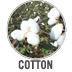 Cotton