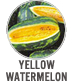 Yellow Watermelon