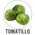 Tomatillo