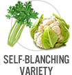 Self-Blanching Variety