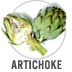 Artichoke